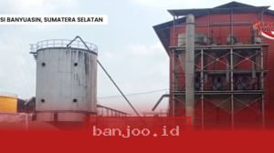 Koperasi Musi Banyuasin Siapkan Investasi Baru dengan Pabrik Kelapa Sawit Kapasitas 45 Ton Per Hari